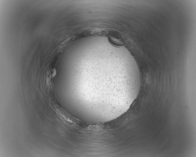 X0000078870914200612041954