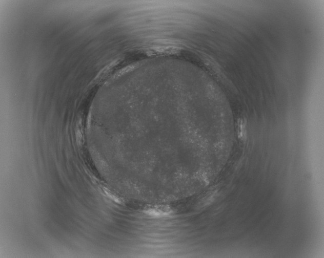 X0000078870915200612041954