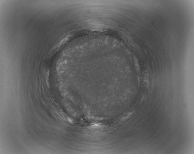 X0000078870916200612041954