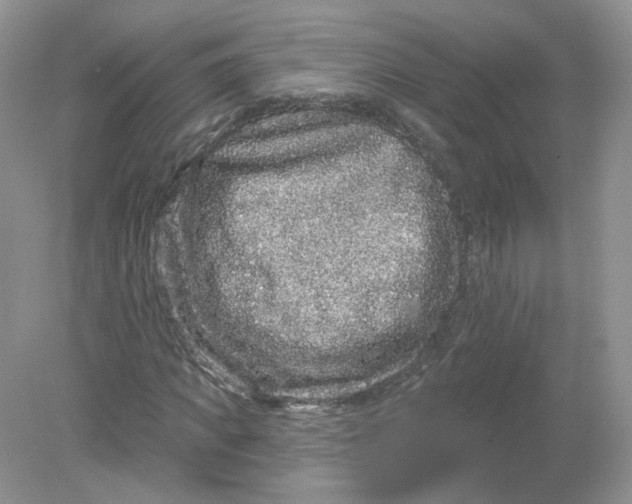 X0000078870917200612041954