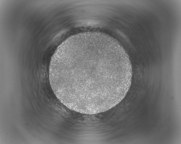 X0000078870918200612041954