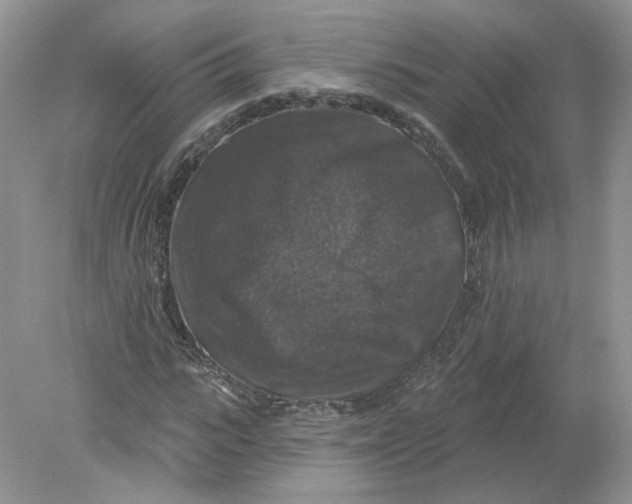 X0000078870919200612041954