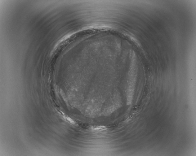 X0000078870920200612041954