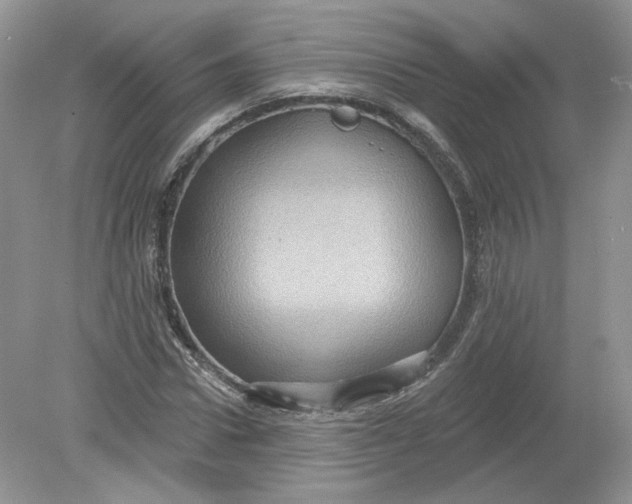 X0000078870922200612041954