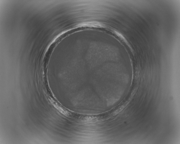 X0000078870923200612041954