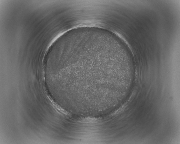 X0000078870925200612041954