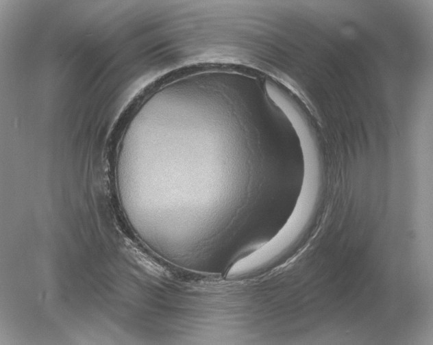 X0000078870926200612041954