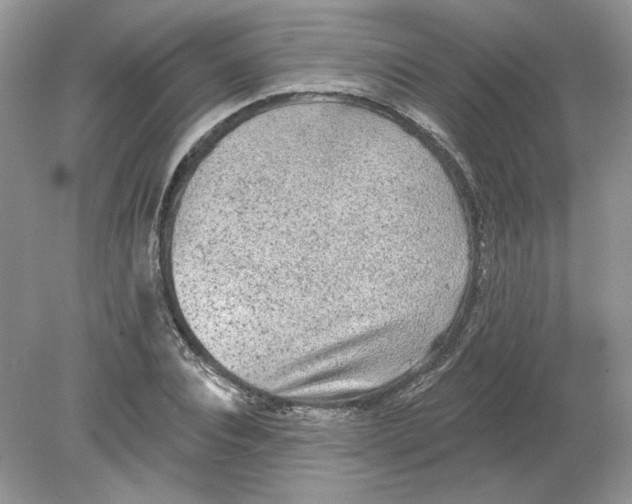 X0000078870928200612041954