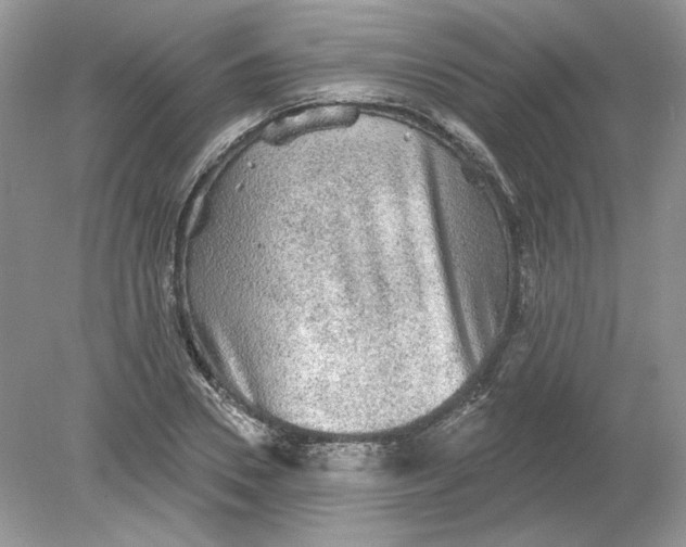 X0000078870930200612041954