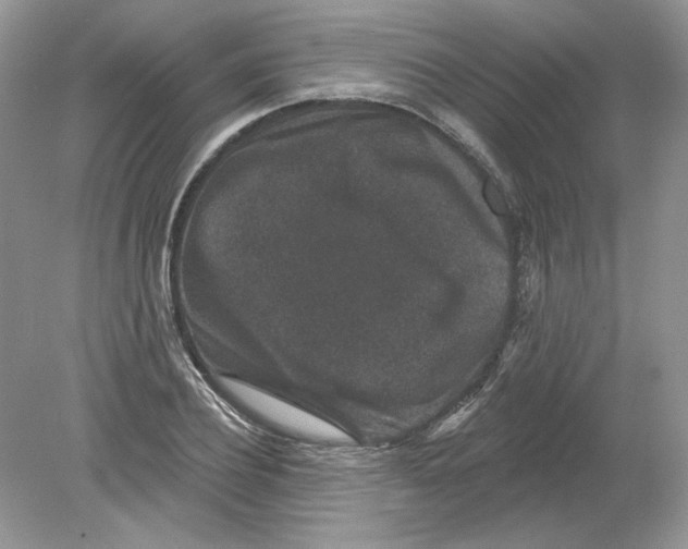 X0000078870932200612041954