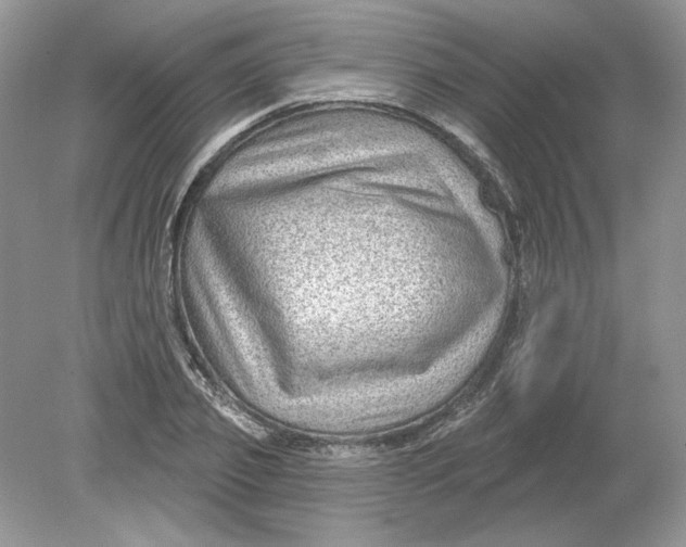 X0000078870933200612041954