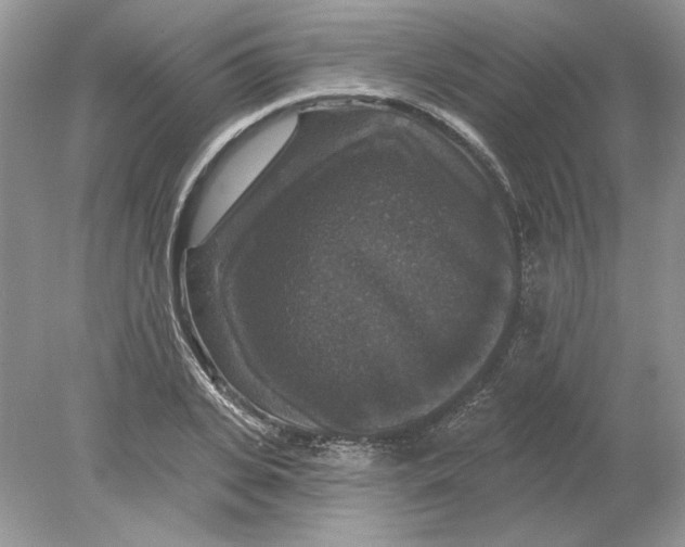 X0000078870935200612041954