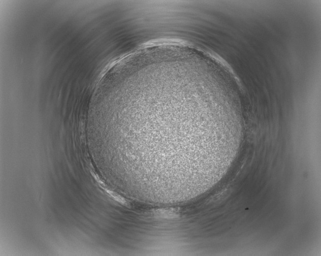 X0000078870937200612041954