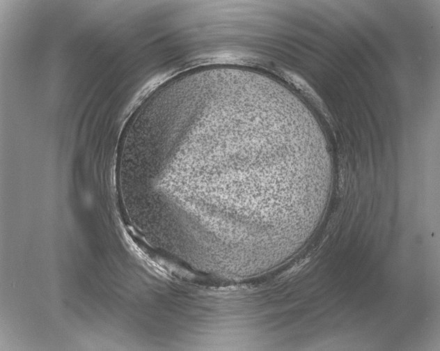 X0000078870938200612041954