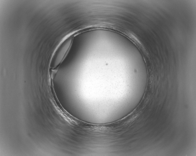 X0000078870940200612041954