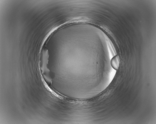 X0000078870941200612041954