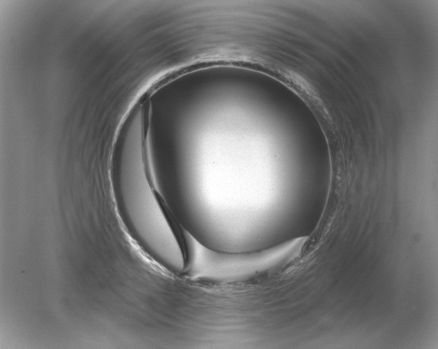 X0000078870942200612041954