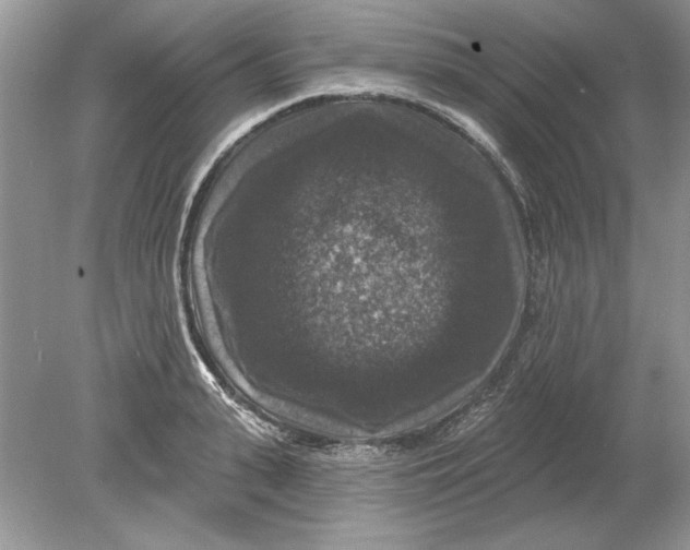 X0000078870943200612041954