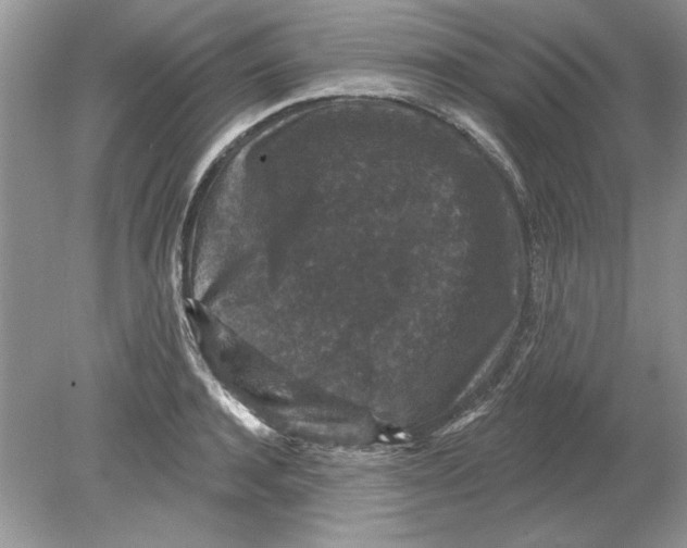 X0000078870944200612041954