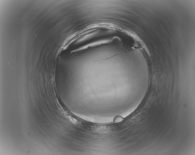 X0000078870945200612041954