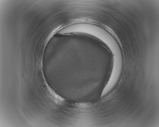 X0000078870946200612041954