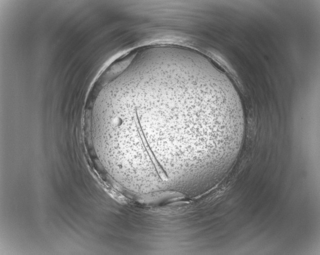 X0000078870948200612041954