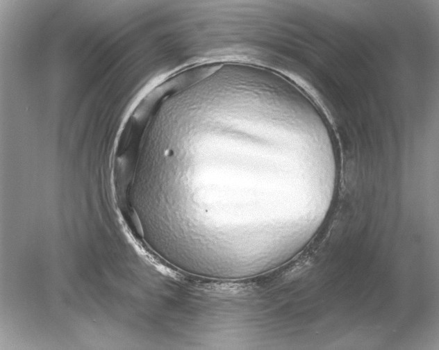 X0000078870949200612041954