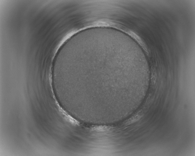 X0000078870950200612041954