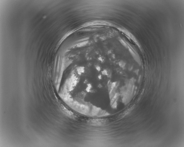 X0000078870953200612041955