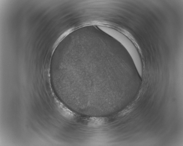 X0000078870954200612041955