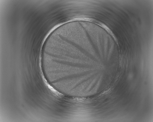 X0000078870955200612041955