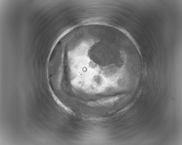 X0000078870957200612041955