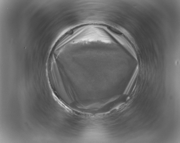 X0000078870958200612041955