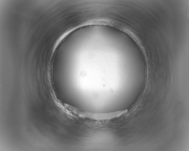 X0000078870960200612041955