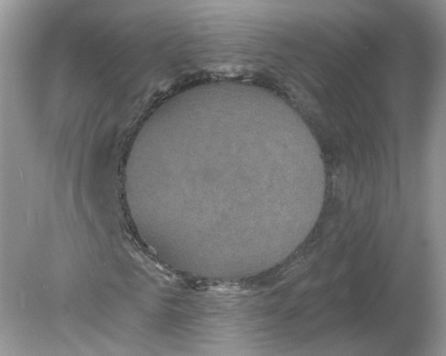 X0000078870961200612041954