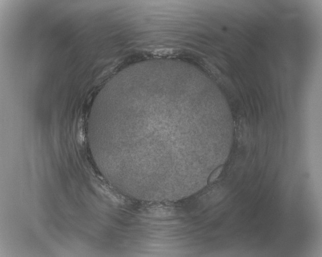 X0000078870962200612041954