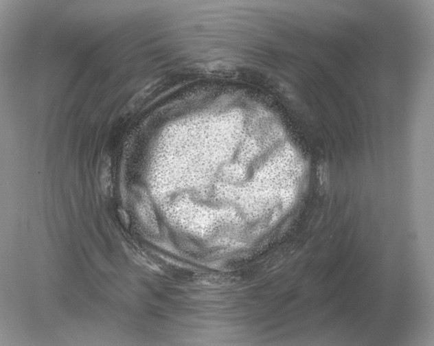 X0000078870963200612041954