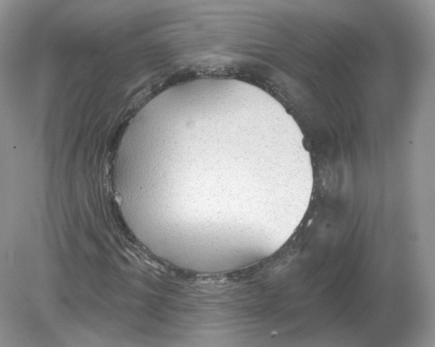 X0000078870964200612041954