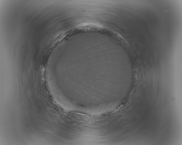 X0000078870965200612041954