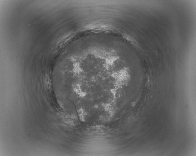 X0000078870966200612041954