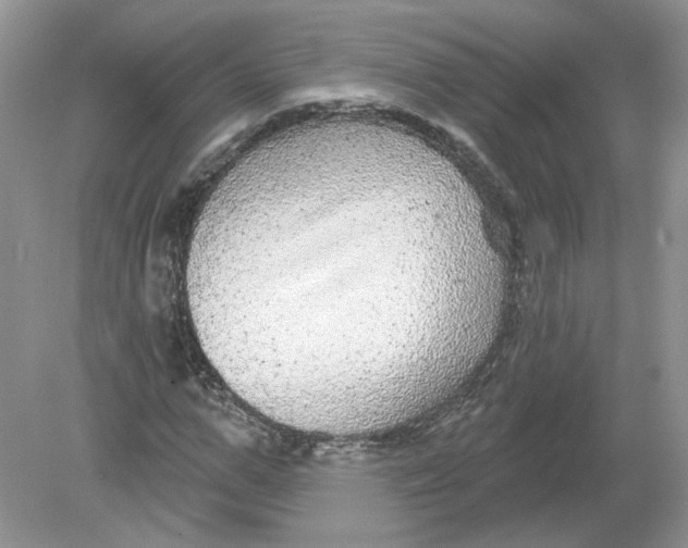 X0000078870967200612041954