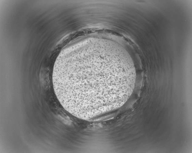 X0000078870968200612041954