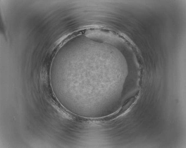 X0000078870969200612041954