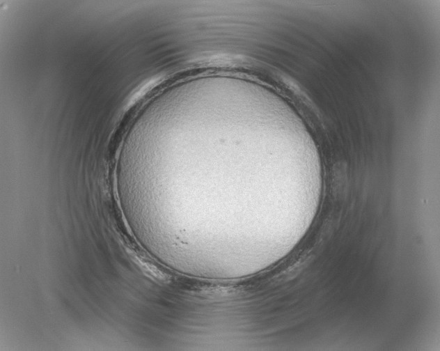 X0000078870970200612041954