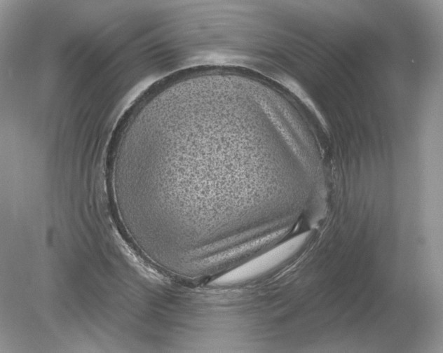 X0000078870972200612041954