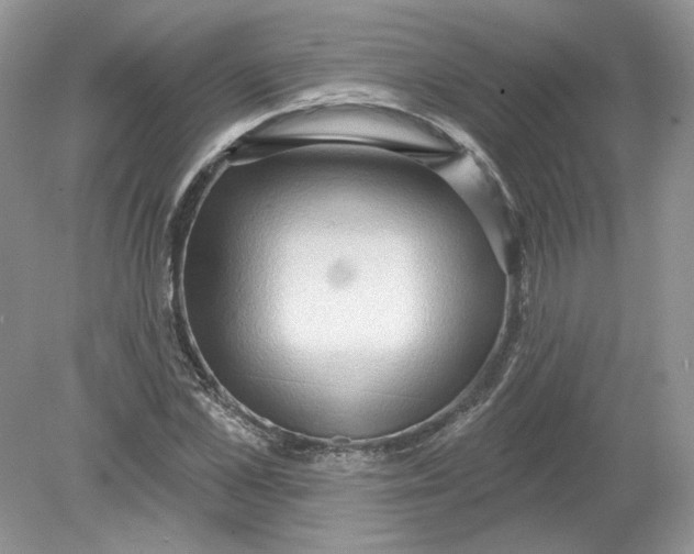 X0000078870973200612041954