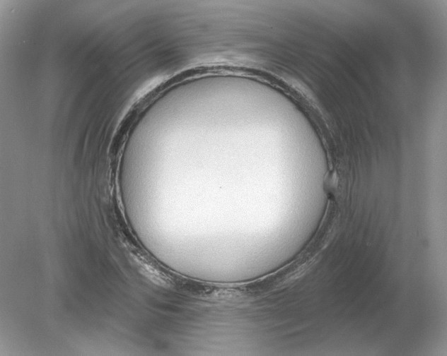 X0000078870974200612041954