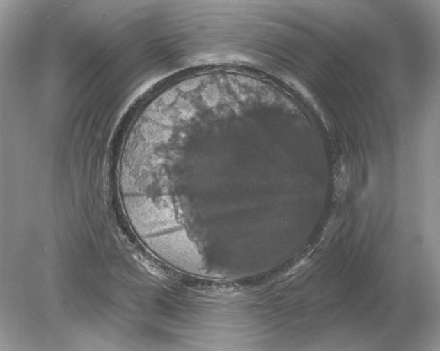 X0000078870975200612041954