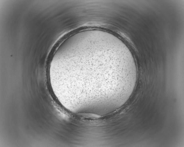 X0000078870976200612041954