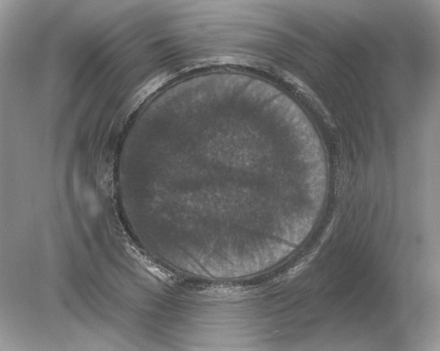 X0000078870977200612041954